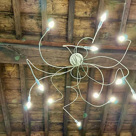 Cuore Al Centro - Nuovissimo Con Finiture Di Pregio Fronte Museo Egizio Torino